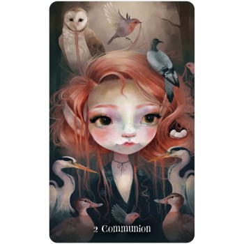 Kosmetinis defektas Wisdom of the Wild Things orakulo kortos US Games Systems